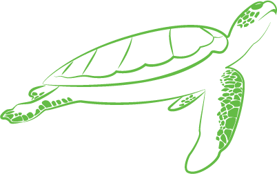 Green Turtle Cloud Bookkeeping Inc.